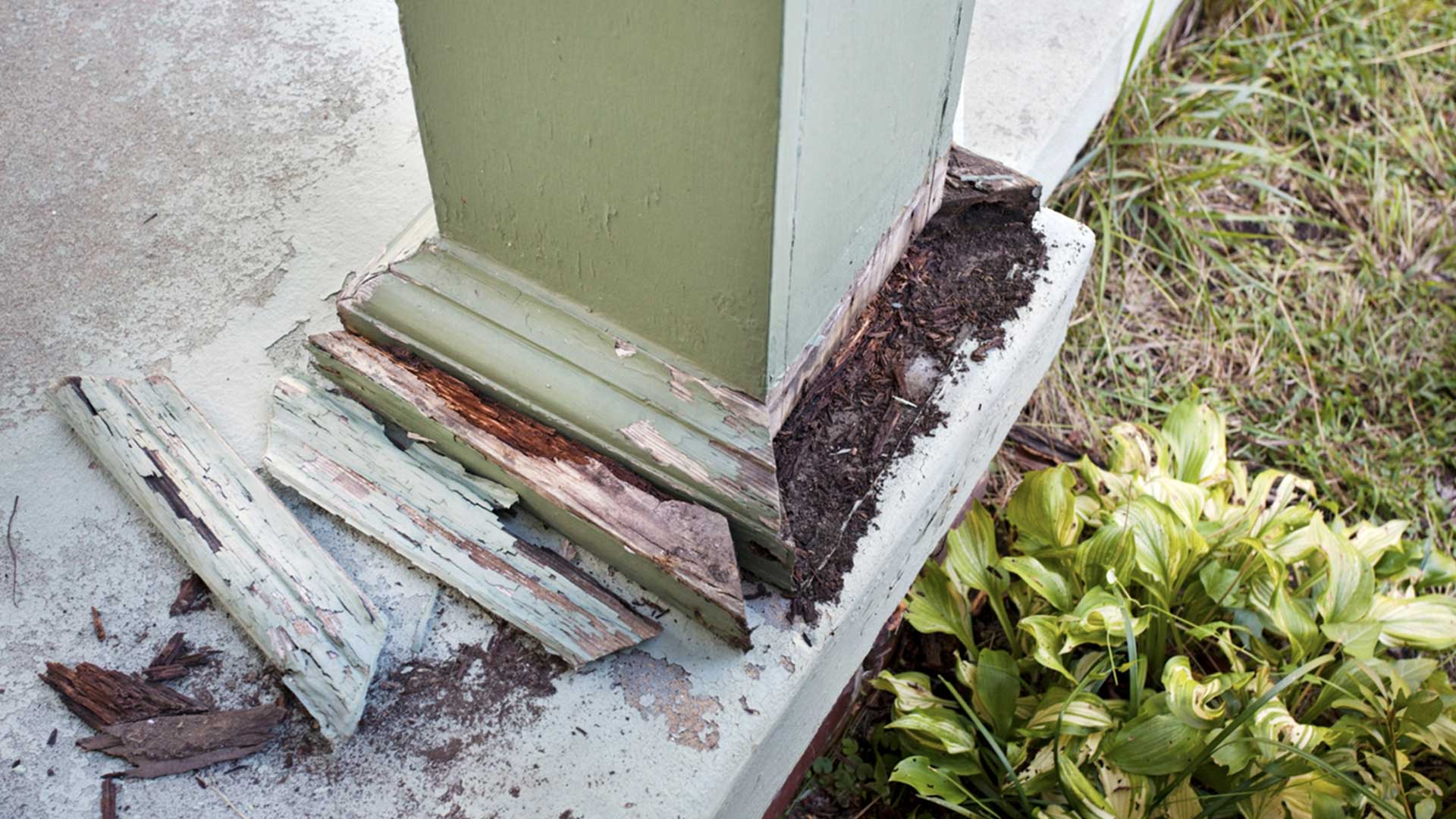 termite damage on porch post